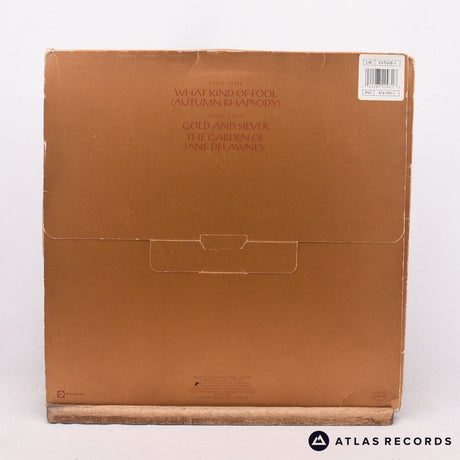 All About Eve - What Kind Of Fool - 12" Vinyl Record - VG/EX