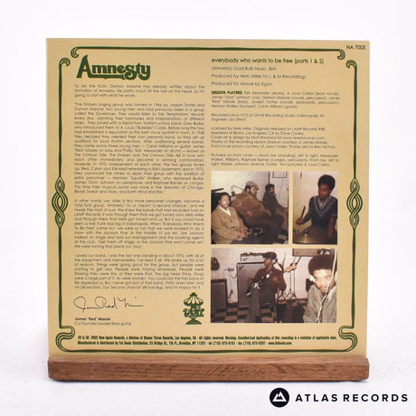 Amnesty - Everybody Who Wants To Be Free - 7" Vinyl Record - EX/EX