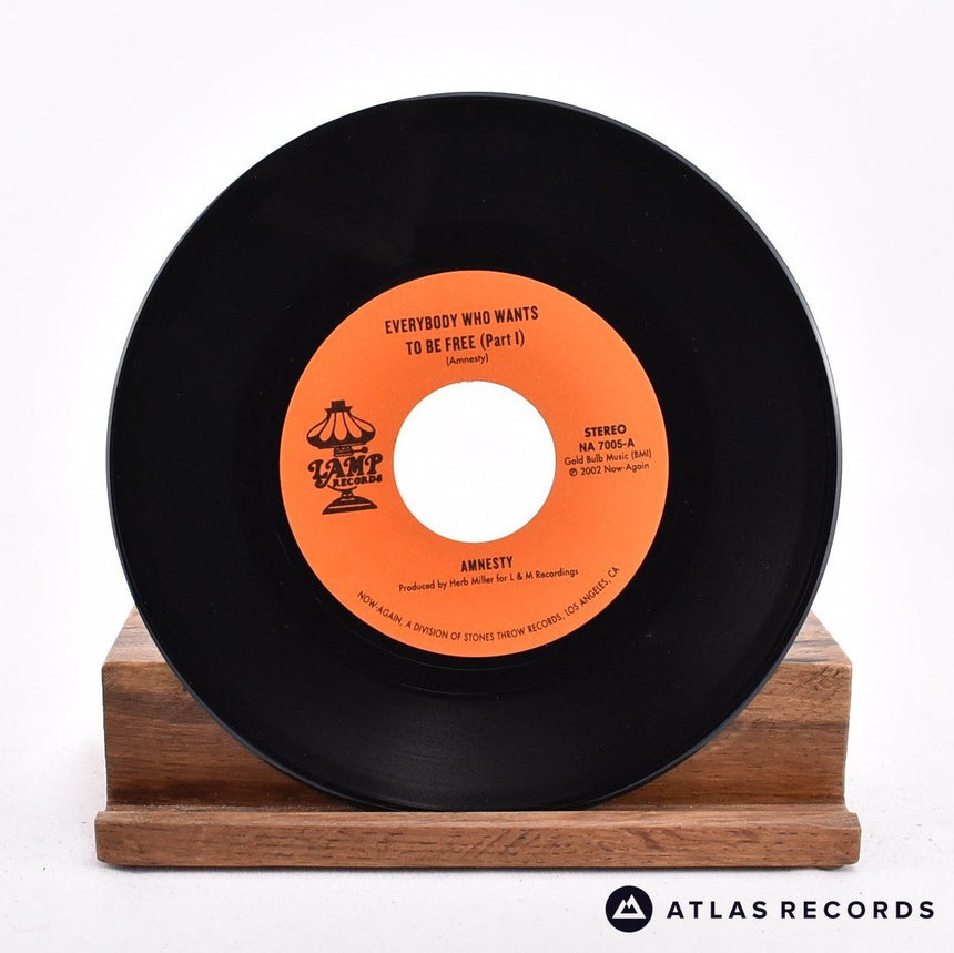 Amnesty - Everybody Who Wants To Be Free - 7" Vinyl Record - EX/EX