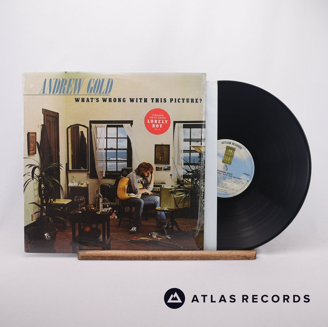 Andrew Gold What's Wrong With This Picture? LP Vinyl Record - Front Cover & Record
