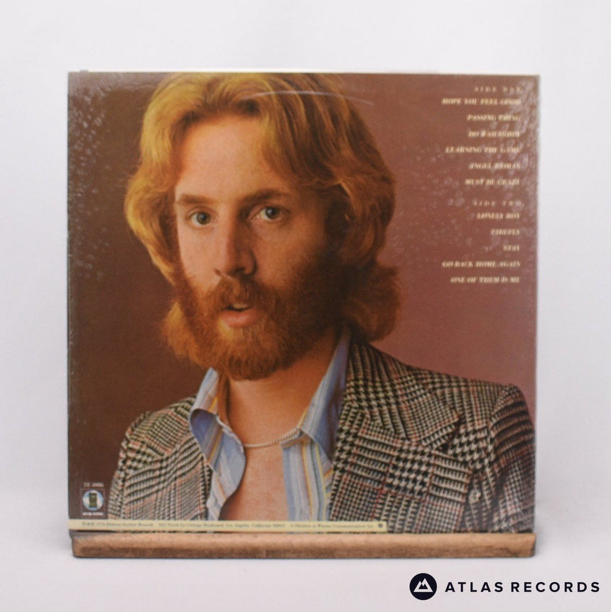 Andrew Gold - What's Wrong With This Picture? - -A -B LP Vinyl Record - VG+/EX
