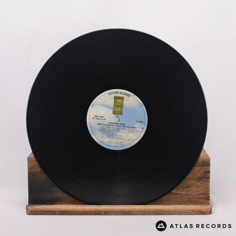 Andrew Gold - What's Wrong With This Picture? - -A -B LP Vinyl Record - VG+/EX