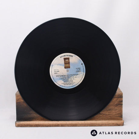 Andrew Gold - What's Wrong With This Picture? - LP Vinyl Record - EX/NM