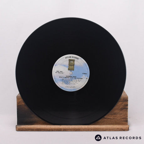 Andrew Gold - What's Wrong With This Picture? - -A -B LP Vinyl Record - VG+/EX