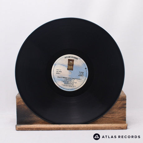 Andrew Gold - What's Wrong With This Picture? - LP Vinyl Record - EX/NM