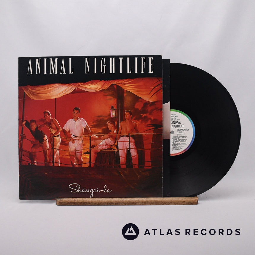 Animal Nightlife Shangri-La LP Vinyl Record - Front Cover & Record