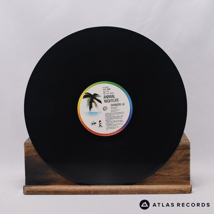 Animal Nightlife - Shangri-La - LP Vinyl Record - VG+/EX