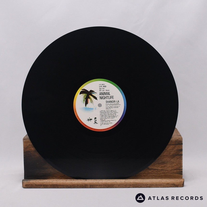 Animal Nightlife - Shangri-La - LP Vinyl Record - VG+/EX