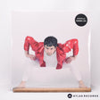 Apostille Choose Life LP Vinyl Record - Front Cover & Record