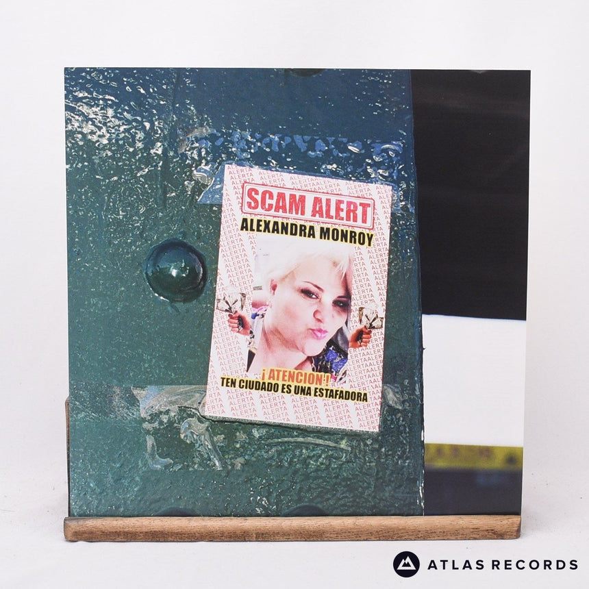 Armand Hammer - We Buy Diabetic Test Strips - Insert 2 x LP Vinyl Record - NM/EX