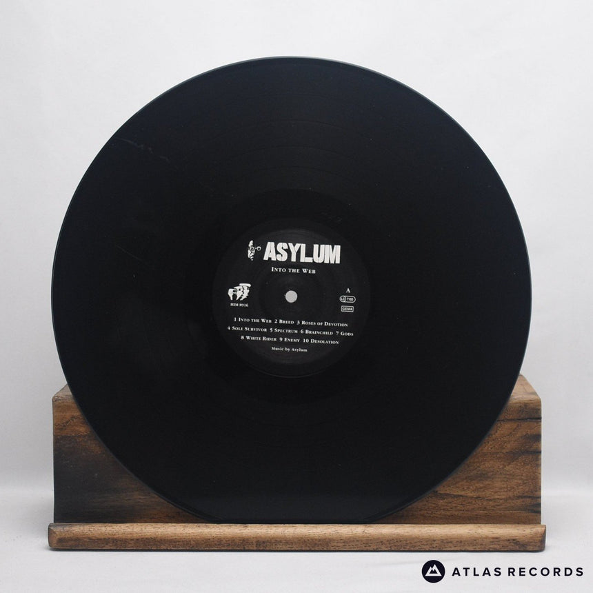 Asylum - Into The Web - LP Vinyl Record - VG+/VG+