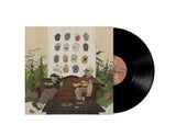 Buffalo Traffic Jam - Pictures Of You - LP Vinyl Record