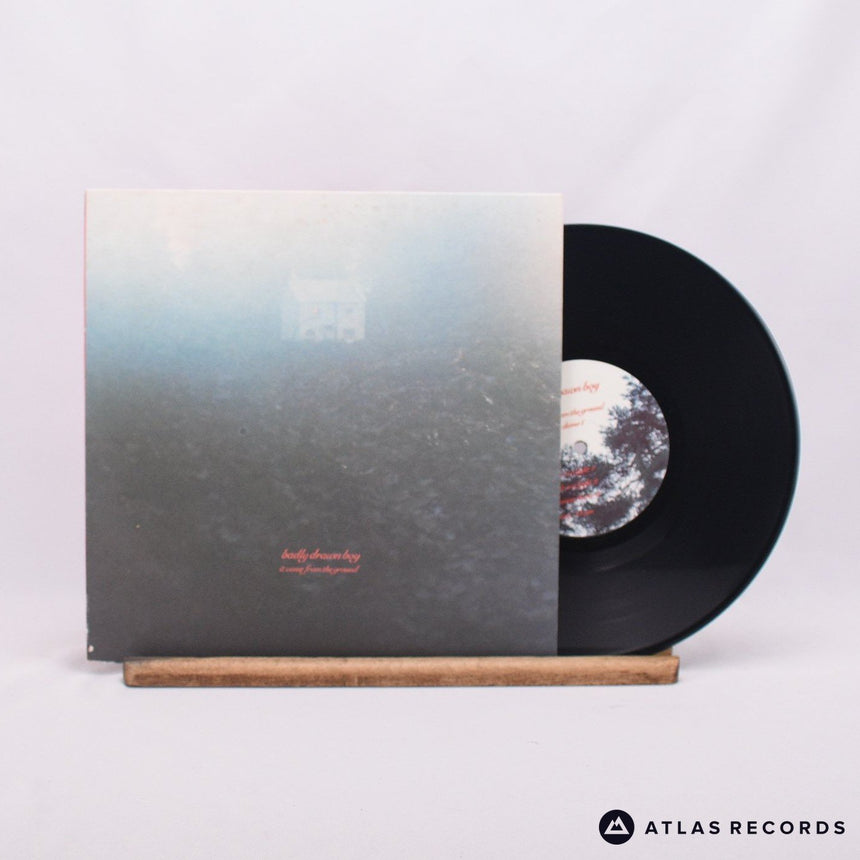 Badly Drawn Boy It Came From The Ground 10" Vinyl Record - Front Cover & Record