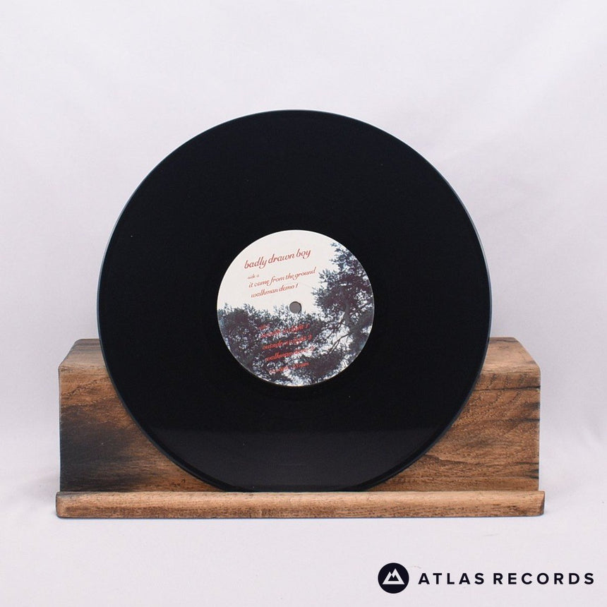 Badly Drawn Boy - It Came From The Ground - 10" Vinyl Record - EX/EX