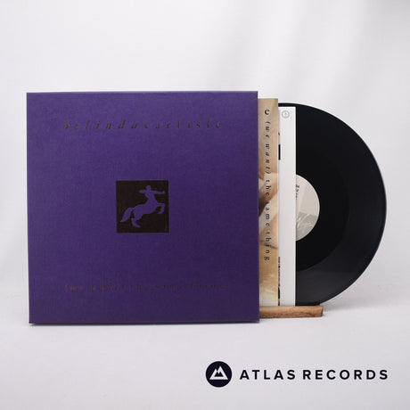 Belinda Carlisle (We Want) The Same Thing 12" Vinyl Record - Front Cover & Record