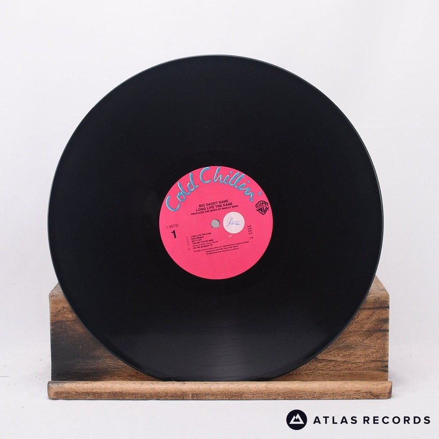 Big Daddy Kane - Long Live The Kane - Us LP Vinyl Record - EX/VG+