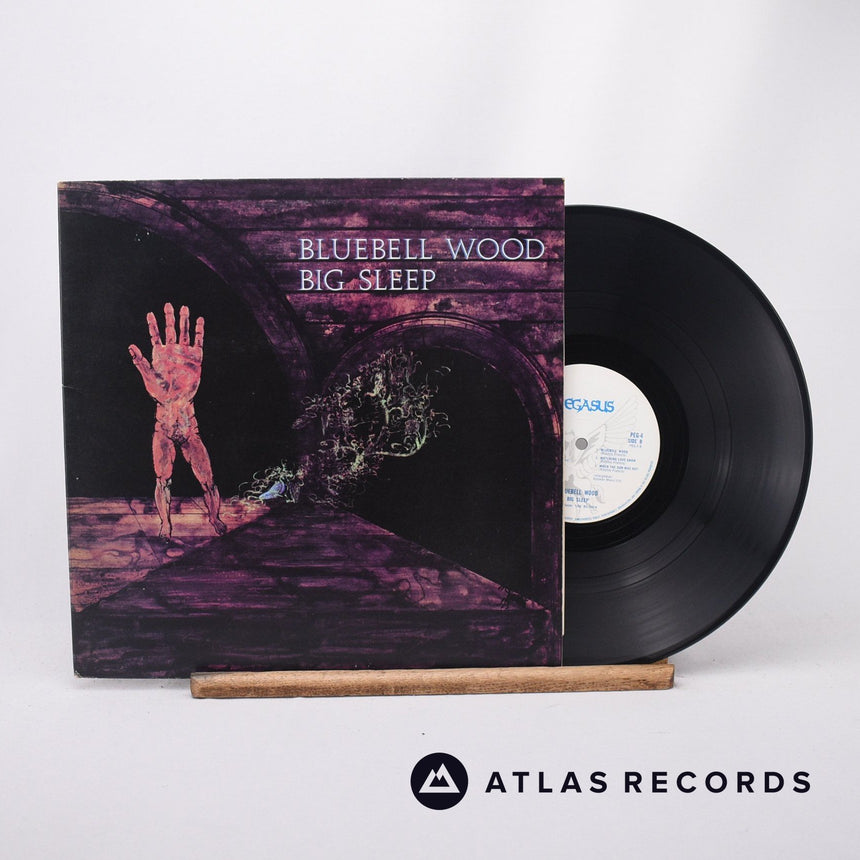 Big Sleep Bluebell Wood LP Vinyl Record - Front Cover & Record