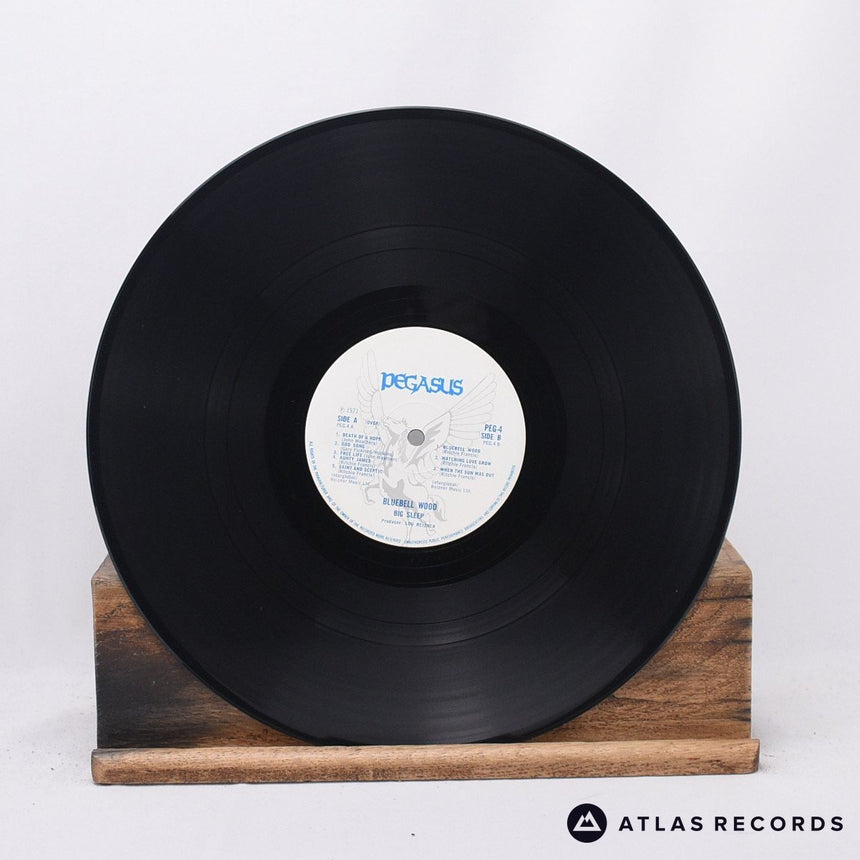 Big Sleep - Bluebell Wood - Gatefold LP Vinyl Record - EX/VG+