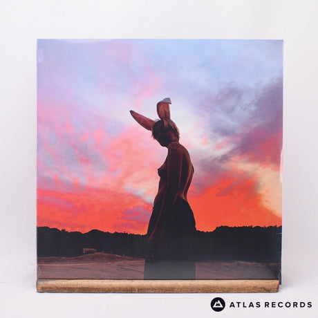 Biig Piig The Sky Is Bleeding 12" Vinyl Record - Front Cover & Record