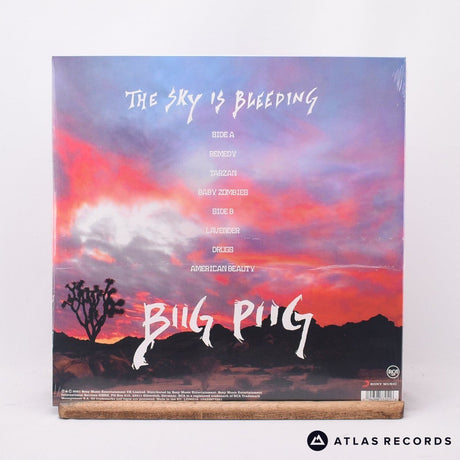 Biig Piig - The Sky Is Bleeding - Sealed 12" Vinyl Record - NEW