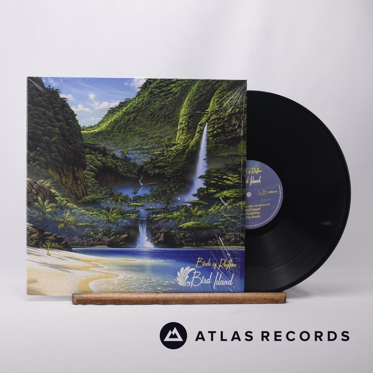 Birds Of Rhythm Bird Island LP Vinyl Record - Front Cover & Record