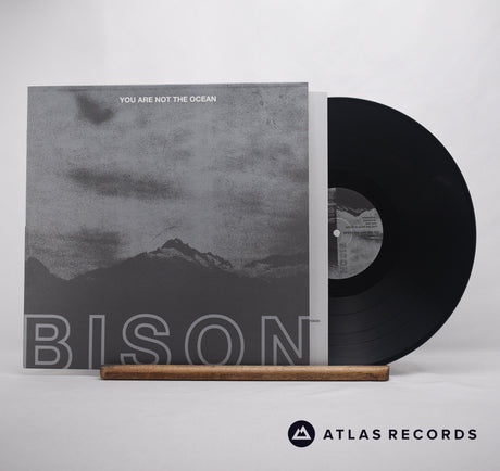 Bison B.C. You Are Not The Ocean You Are The Patient LP Vinyl Record - Front Cover & Record