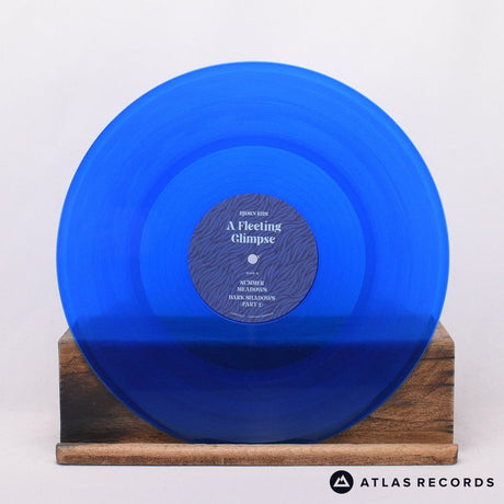 Bjørn Riis - A Fleeting Glimpse - A-1 B-1 12" Vinyl Record - NM/NM