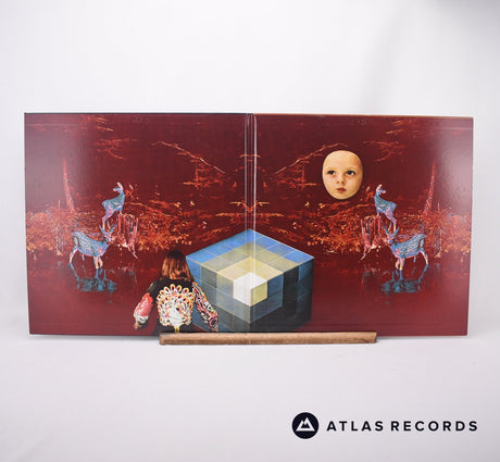 Black Mountain - In The Future - 2 x LP Vinyl Record - EX/EX