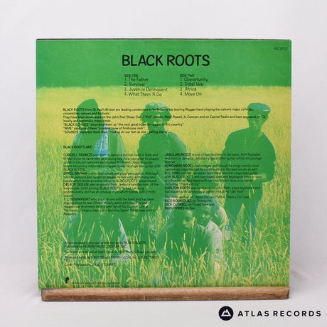Black Roots - Black Roots - Damont A-1 B-1 LP Vinyl Record - EX/EX