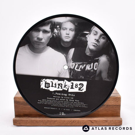 Blink-182 - Feeling This - Picture Disc Single-Sided 7" Vinyl Record - EX/VG+
