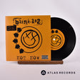 Blink-182 Not Now - Part2 7" Vinyl Record - Front Cover & Record
