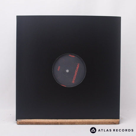 Borrowed Identity - Amplified House EP - 12" Vinyl Record - EX