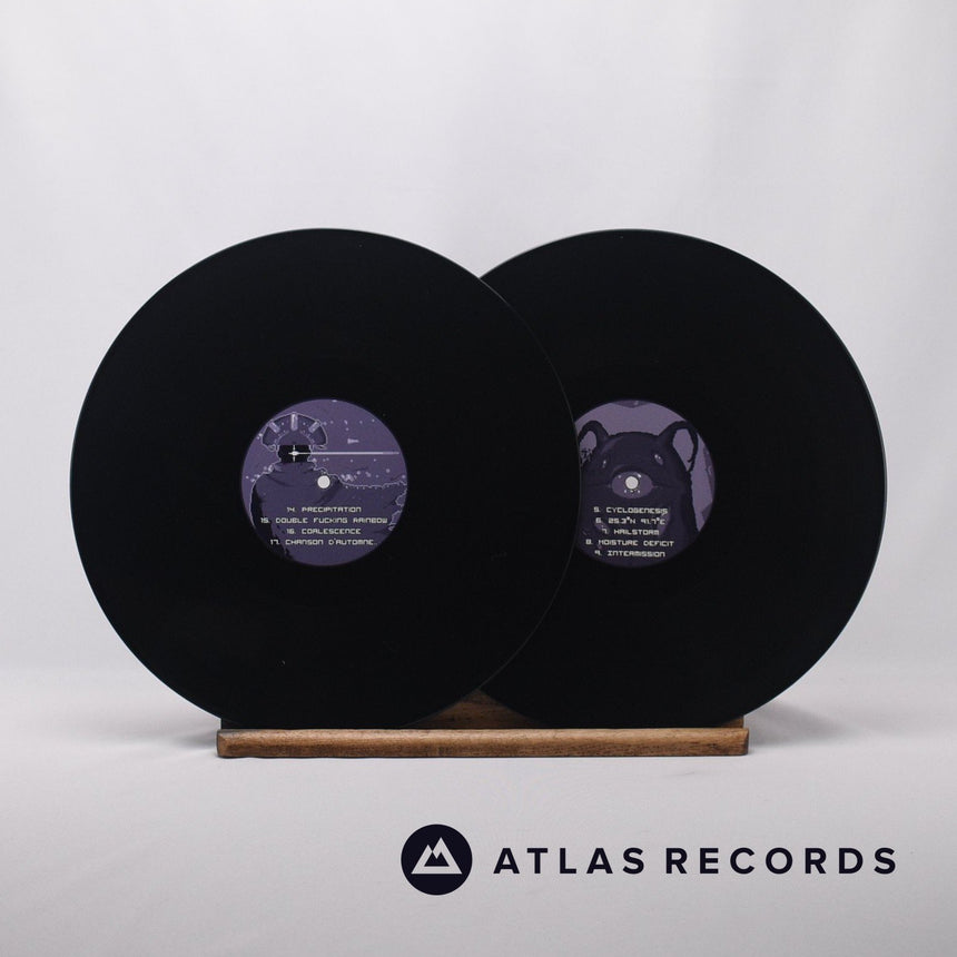 Chris Christodoulou - Risk Of Rain - A1 B1 C1 D1 Double LP Vinyl Record - NM/NM