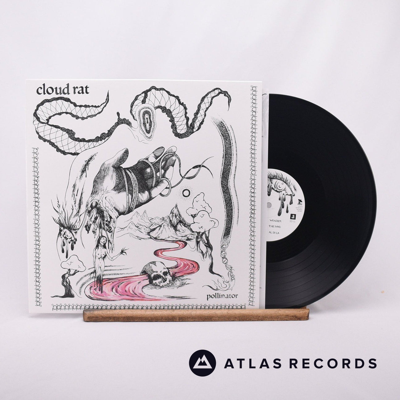 Cloud Rat Pollinator LP Vinyl Record - Front Cover & Record