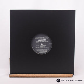 DJ Delirium Days Of Our Lives 12" Vinyl Record - In Sleeve