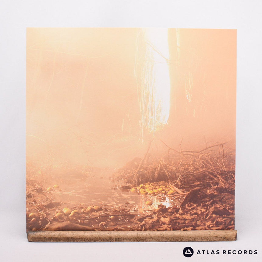 Daniel Rossen - You Belong There - Gold Limited Edition LP Vinyl Record - NM/NM