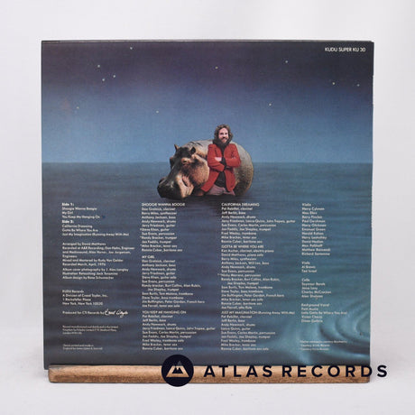 Dave Matthews - Shoogie Wanna Boogie - LP Vinyl Record - EX/VG+