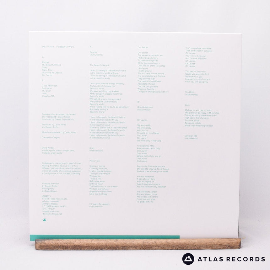 David Allred - The Beautiful World - A B LP Vinyl Record - EX/NM