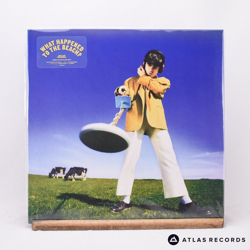 Declan McKenna What Happened To The Beach? LP Vinyl Record - Front Cover & Record