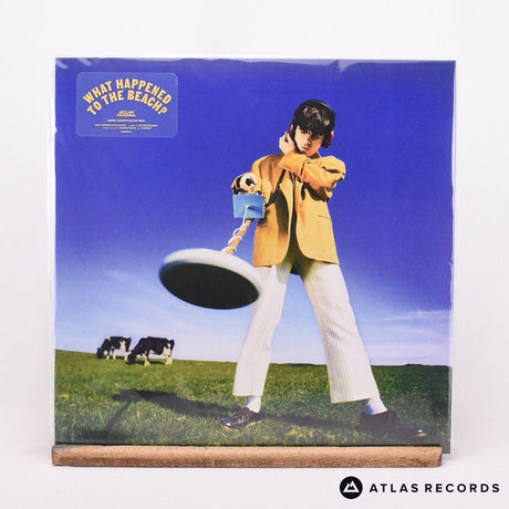Declan McKenna What Happened To The Beach? LP Vinyl Record - Front Cover & Record