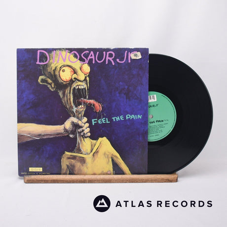 Dinosaur Jr. Feel The Pain 10" Vinyl Record - Front Cover & Record