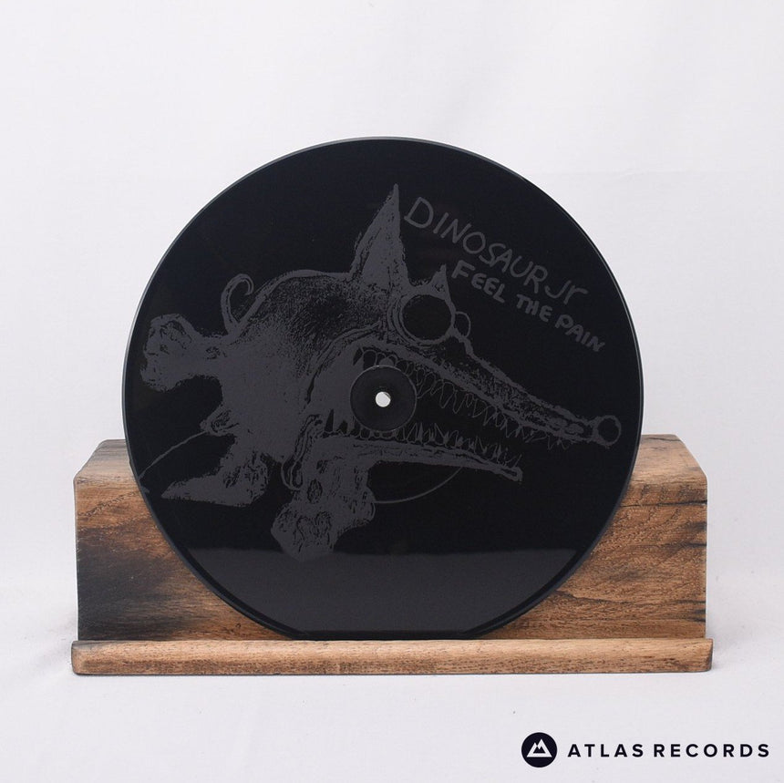 Dinosaur Jr. - Feel The Pain - 10" Vinyl Record - EX/EX