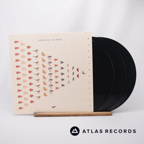 Dominik Eulberg Mannigfaltig 3 x LP Vinyl Record - Front Cover & Record