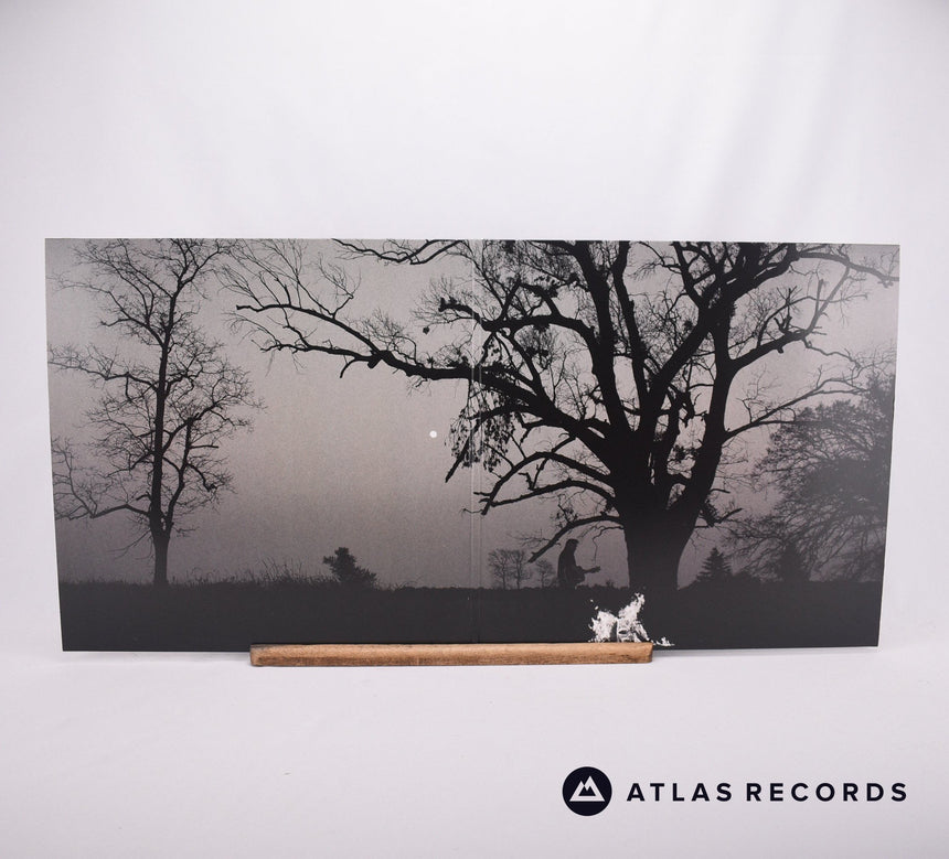 Don Henley - Cass County - 1-A 1-B C2 8-D Double LP Vinyl Record - NM/EX