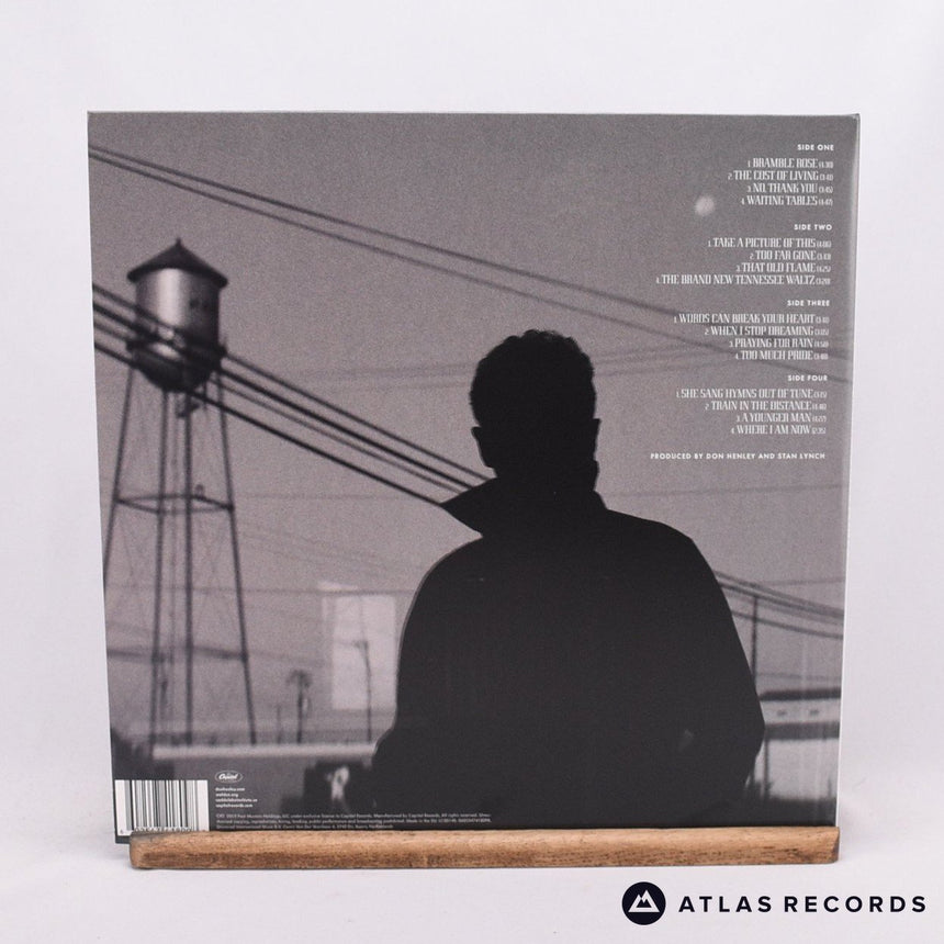 Don Henley - Cass County - 1-A 1-B C2 8-D Double LP Vinyl Record - NM/EX