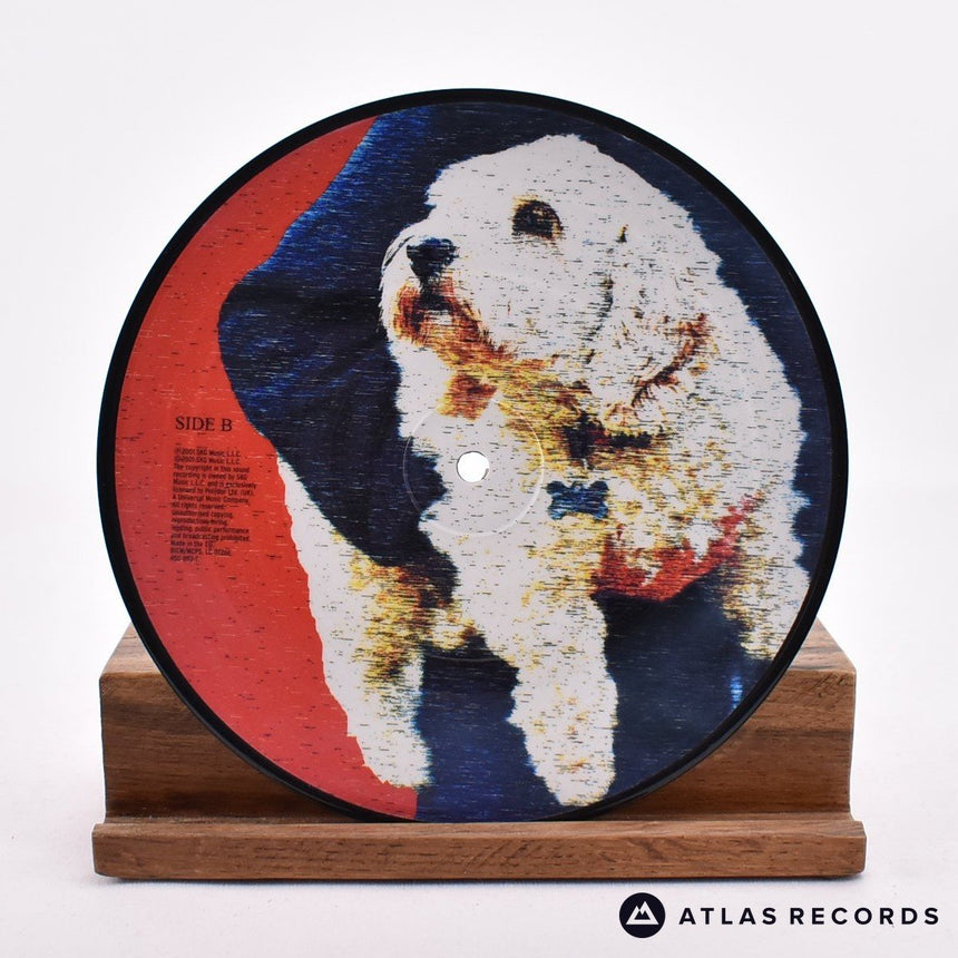 Eels - Souljacker Part I - Picture Disc 7" Vinyl Record - NM/NM