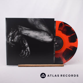 Fawn Limbs Darwin Falls LP Vinyl Record - Front Cover & Record