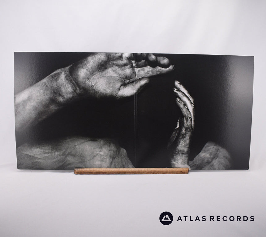 Fawn Limbs - Darwin Falls - LP Vinyl Record
