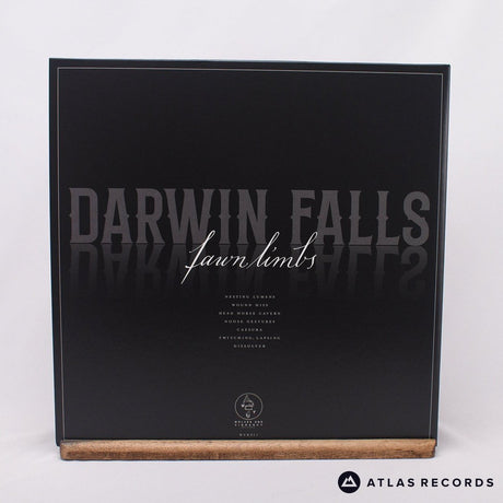 Fawn Limbs - Darwin Falls - LP Vinyl Record