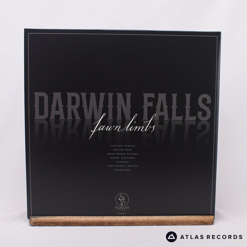 Fawn Limbs - Darwin Falls - LP Vinyl Record